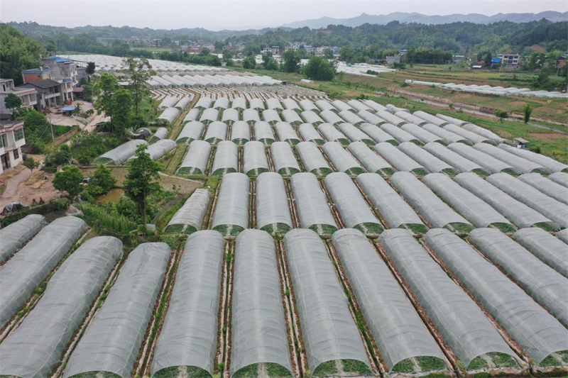 1650543485858459.png 图片16.png