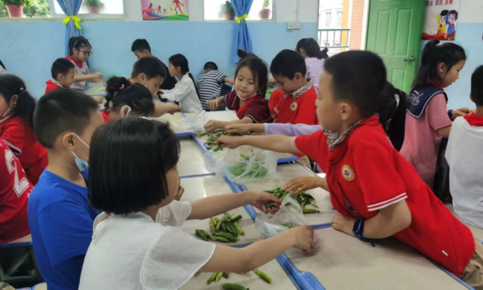 1653807543422830.png 图片7.png