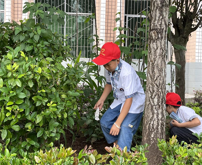 1654515401226269.png 图片7.png