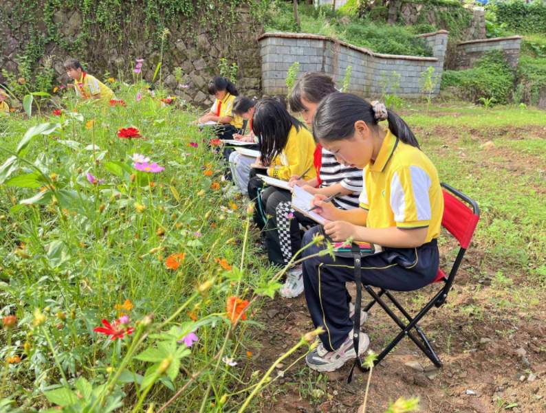 1656061488425092.png 1656061341970.png