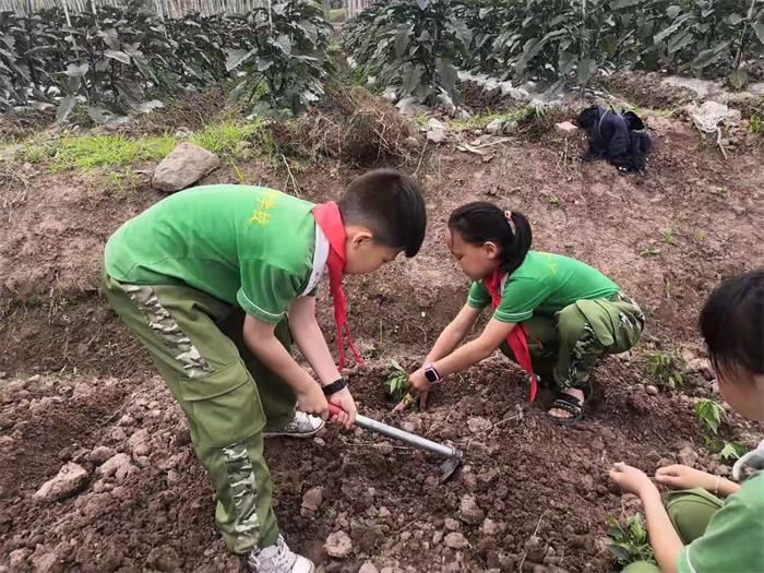 5 ͶʵγСܡ (3)_proc.jpg