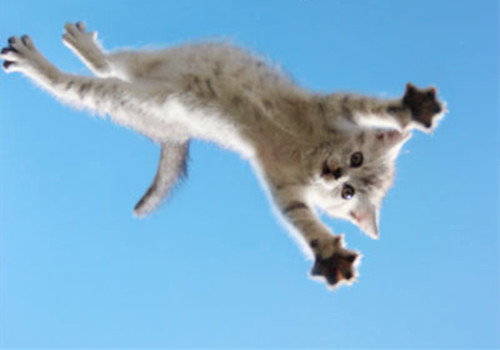 1657673359690162.jpg 1657672713021.jpg