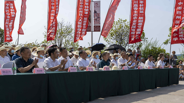 图片2.png