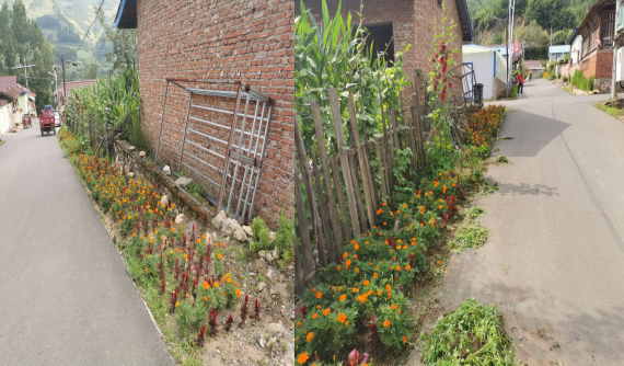 1659058825304904.png 2222.png