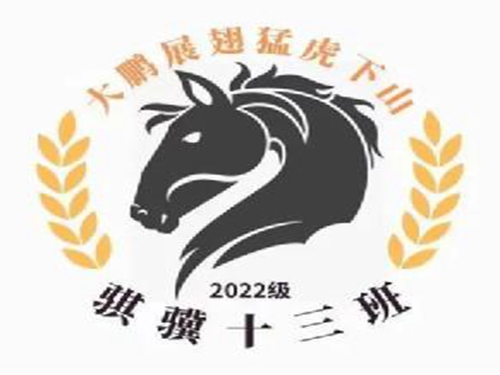 1663292797263368.jpg file0013.jpg