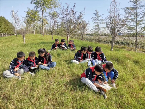 1663924559827731.jpg 81473cdbfc4137ed5e8c6ac926041b7.jpg