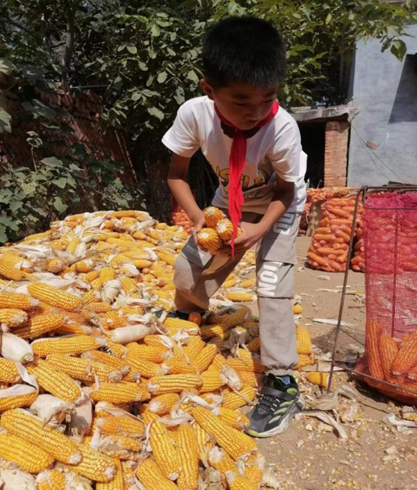 1664444010626063.png 图片2.png