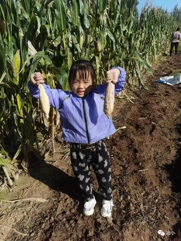 1664502401526668.jpg 16C5BEC9FB2CEC1A5C60A7479FC12533.jpg