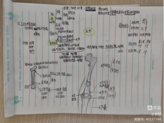 1664506566187072.png 西姜寨乡第一初级中学理化生组示范引领课观摩活动270.png