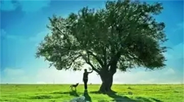 5555.webp.jpg