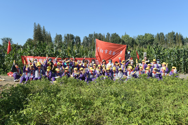 1665193996330008.png 图片1.png