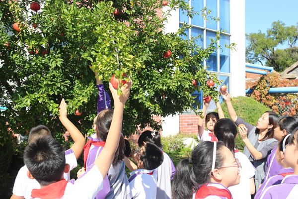 1665194024704307.png 图片2.png