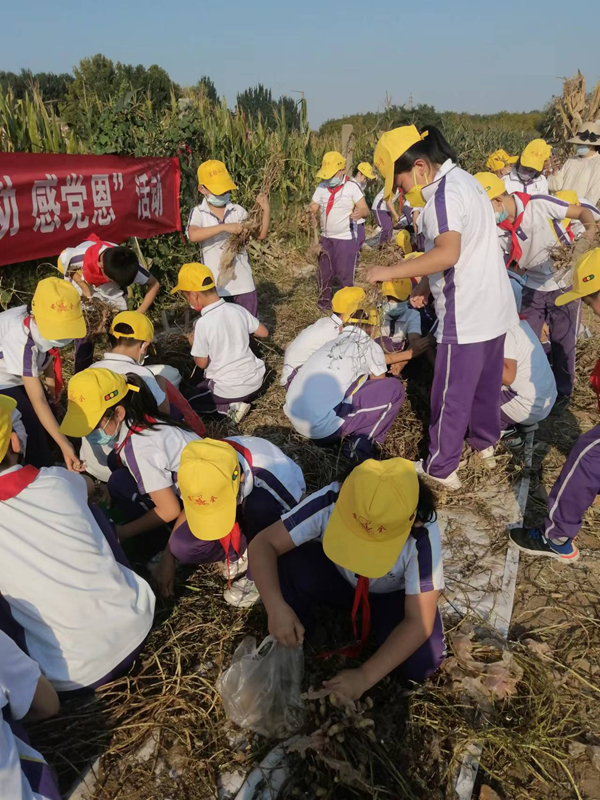 1665194057852930.png 图片4.png