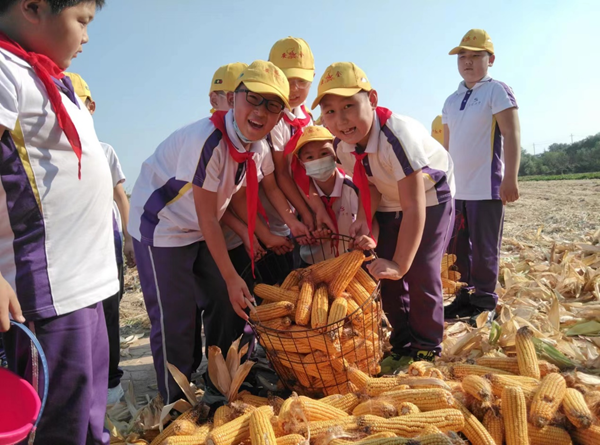 1665194171569106.png 图片7.png