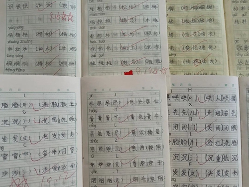 1667006560699437.jpg 微信图片_20221028175235.jpg