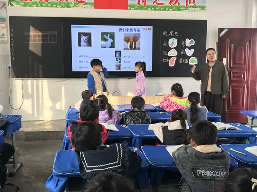 1667447335219204.jpg 07.jpg