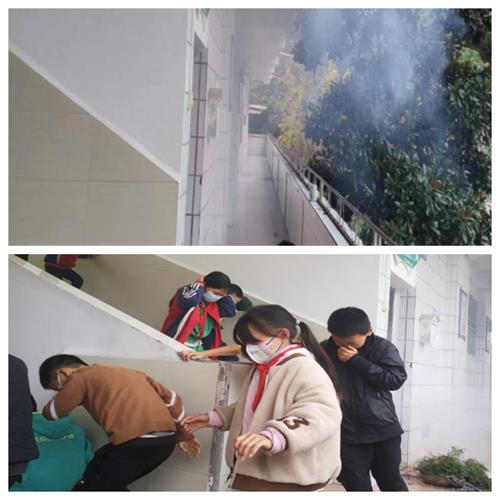 1667987959494167.jpg 1111.jpg