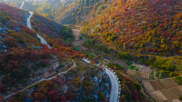 DJI_0673.jpg