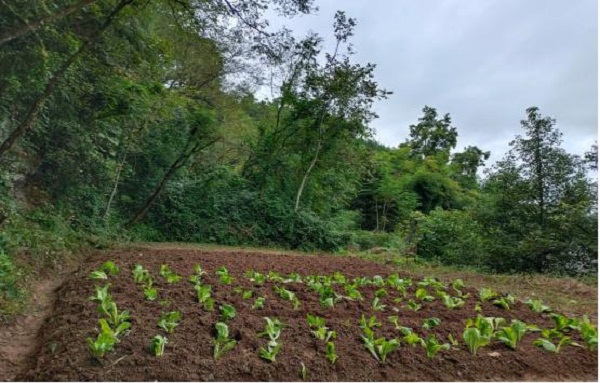 1669369218328624.jpg 1cc7430231db17a132b5b6904af90f8f.jpg