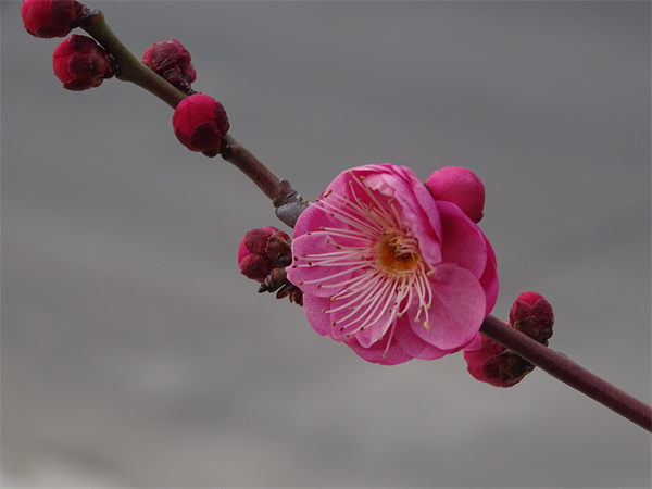 DSC02350.jpg