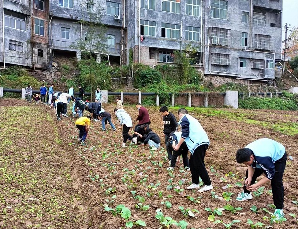 1669981282129502.jpg e548c2a9f7a7af0d8e1821f0a86bcd7.jpg