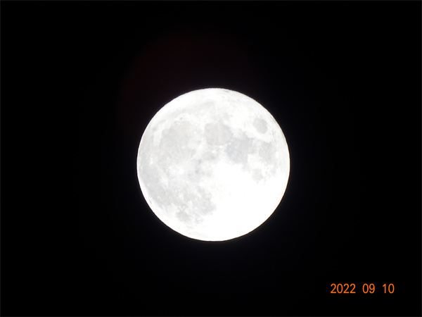DSC07366.jpg