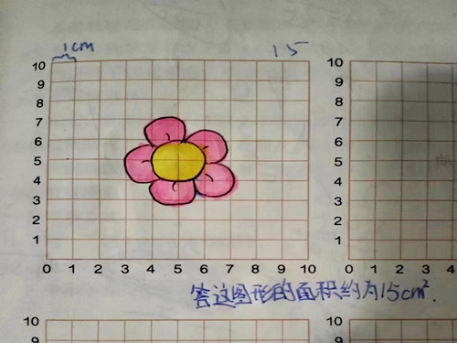 1671091393829025.jpg 3.jpg