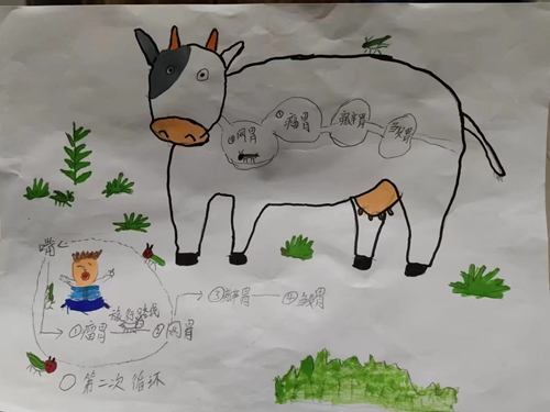 1671153795802849.jpg c574f056b42be10039ebbd96de49ba6.jpg