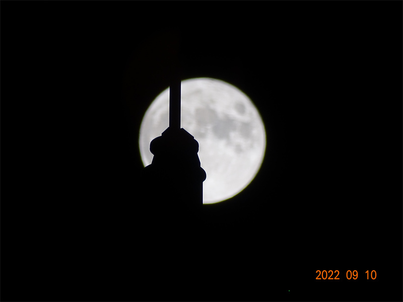 DSC07364.jpg