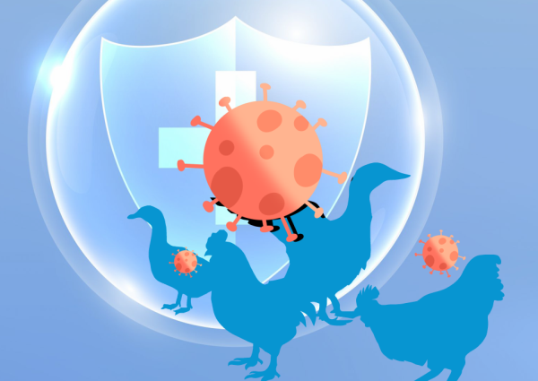 1677491800771719.png 图片6.png