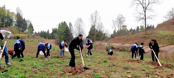 1678710356797025.jpg 2.jpg