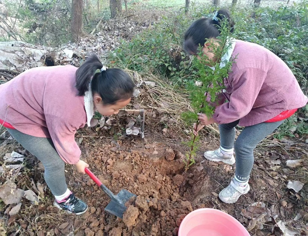 1678768912594559.png 图片1.png