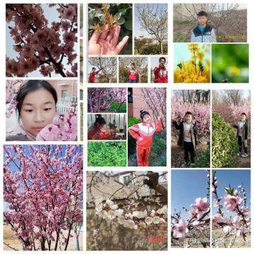 еĴ졪ڶʵСѧѰҴ족ʵ(1)(1)451.png