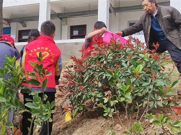 1678863177151281.png 图片1.png