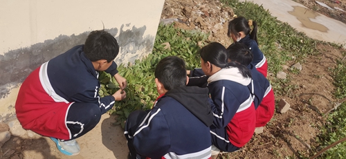 1679379888200244.jpg e114a91f2fa1efc789f83d9f0b67c40.jpg