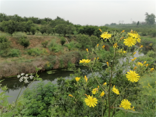 1679409061336292.png 图片4.png