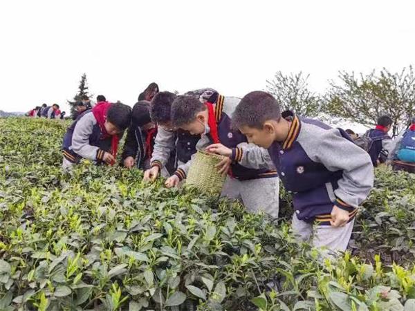 1680080400541821.jpg 微信图片_20230329165723.jpg