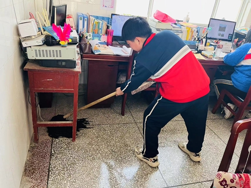 1680136826764984.jpg 70fd32bd3a070b5e1b8e2640d185219.jpg