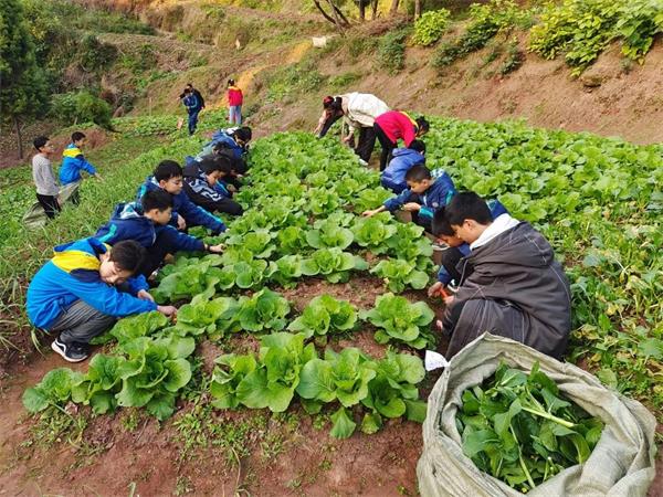 1680697443482145.jpg 微信图片_20230405201741.jpg