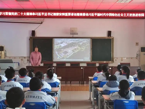 1681378875115878.jpg 3.jpg