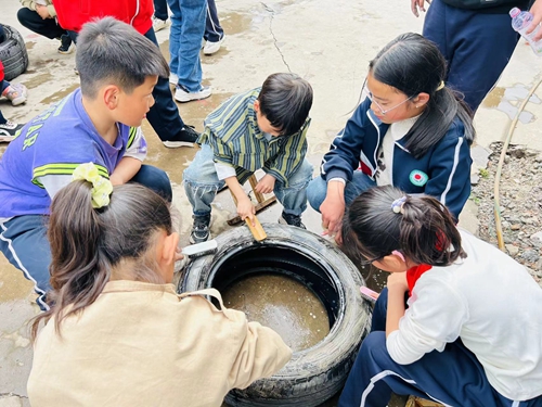 1681519619938516.jpg 71670f4524834fb4bbe70d5594d947a.jpg