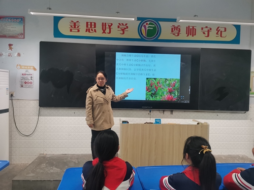 1681726370872837.jpg 3.jpg