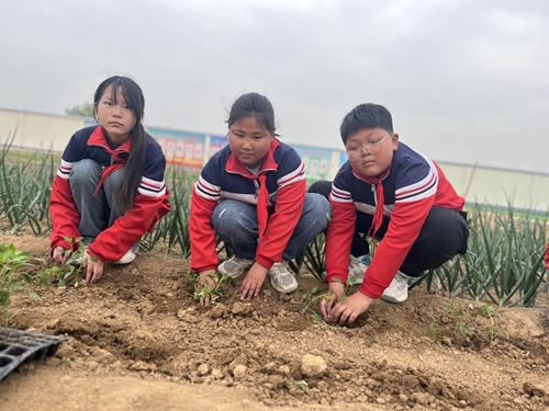 1681726445858743.jpg 9.jpg