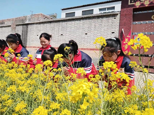 1681905005564221.jpg 4.jpg