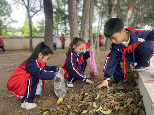 1682511507150652.png 图片2.png