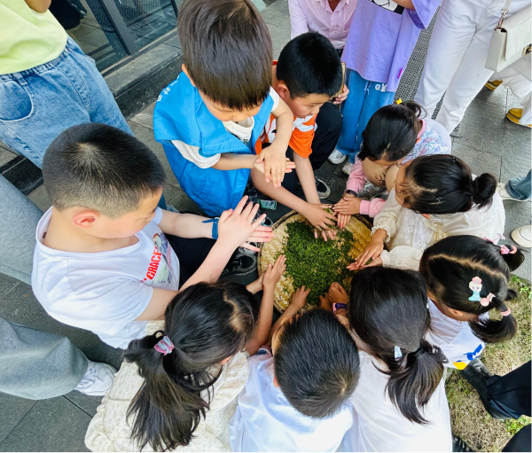 1682586600852255.png 图片4.png