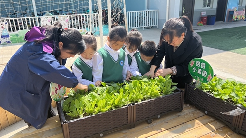 1683164989203481.jpg 图片4.jpg