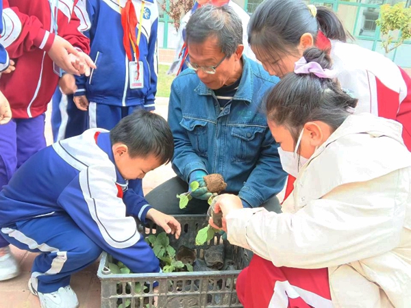 1683172599902652.jpg 1.jpg