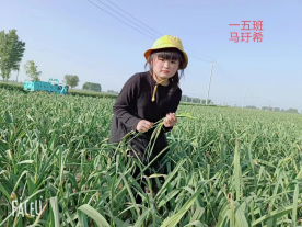 1683189101203968.png 劳动最光荣——开封市祥符区实验小学开展“五一”劳动节系列活动纪实 (1)405.png