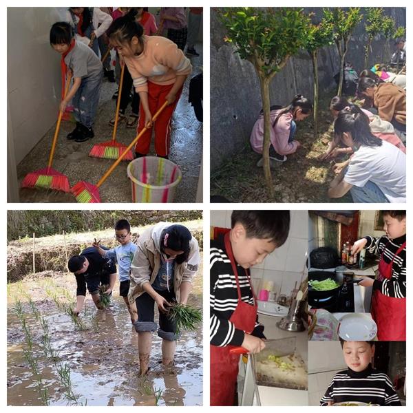 1683284780841585.jpg 5555555555.jpg